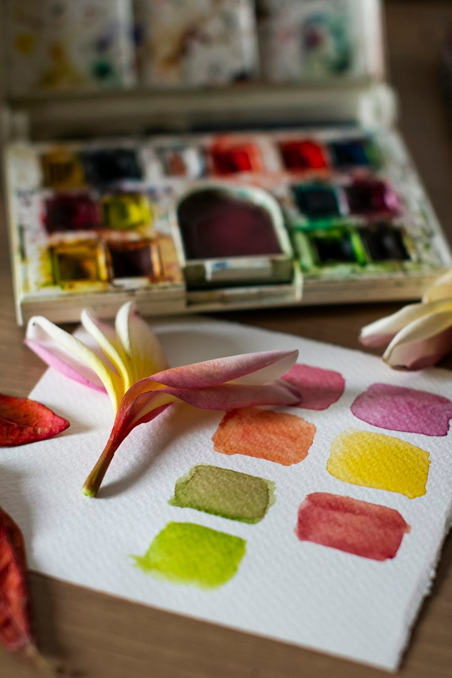 Watercolour palette and painted flowers