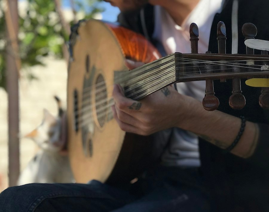 Close-up of an oud being played
